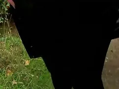 Blogersha pelirroja  ...