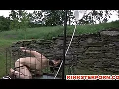 Un hombre lamió el c ...