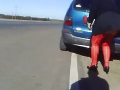 El caucásico peludo  ...